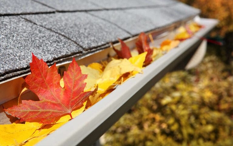Red and yellow fall leaves piled in a gutter along a shingle roof