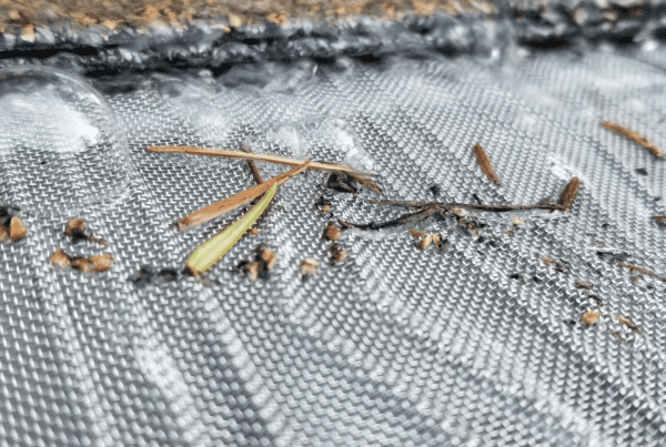 Micro-mesh gutter guard with pine needles and water droplets resting on top