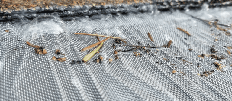 Micro-mesh gutter guard with pine needles resting on top