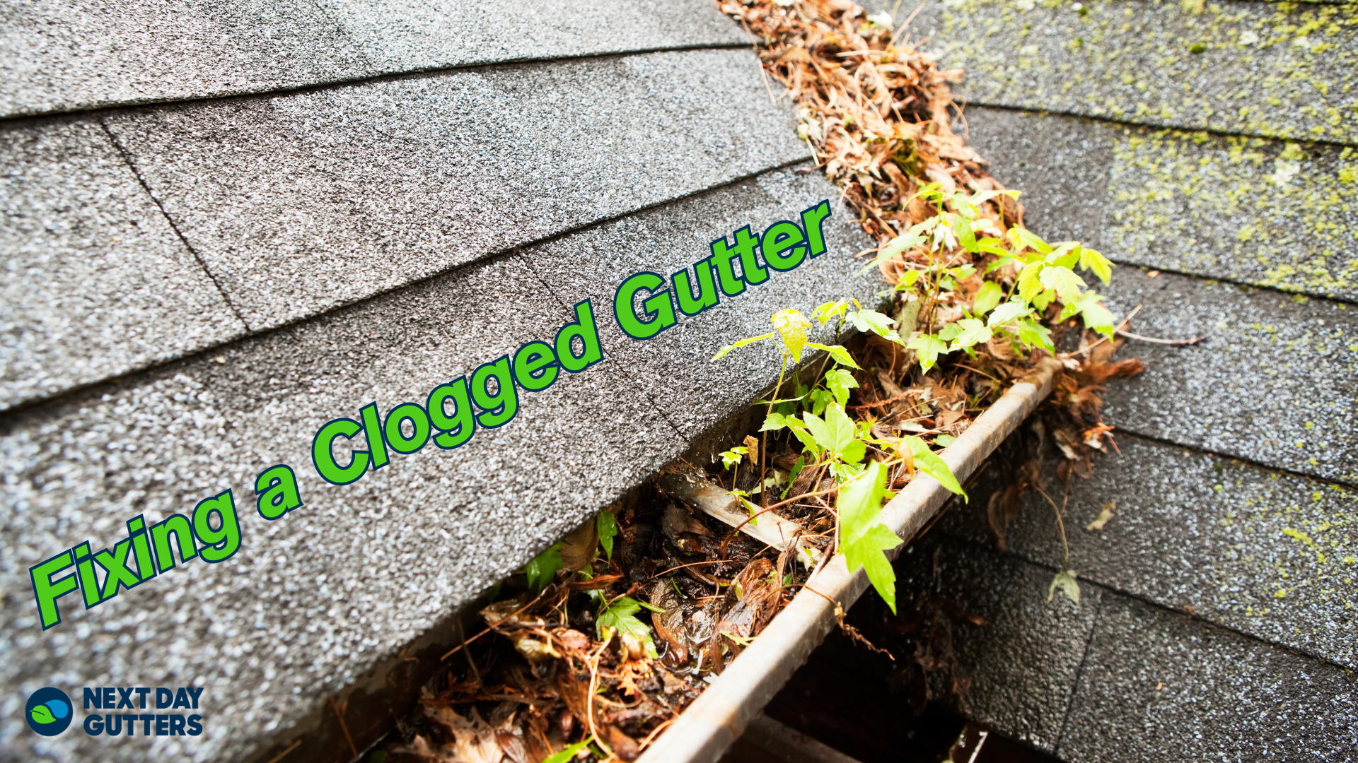 clogged gutter